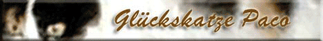 Glückskatze